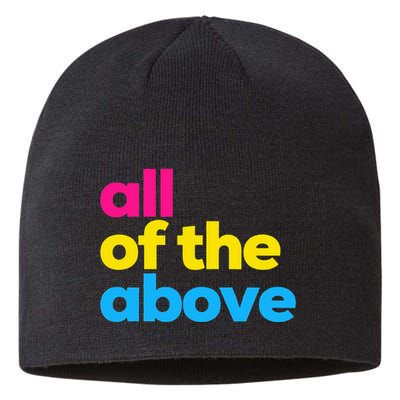 Pansexual Subtle Pan All Of The Above Lgbtq Pride Month Sustainable Beanie