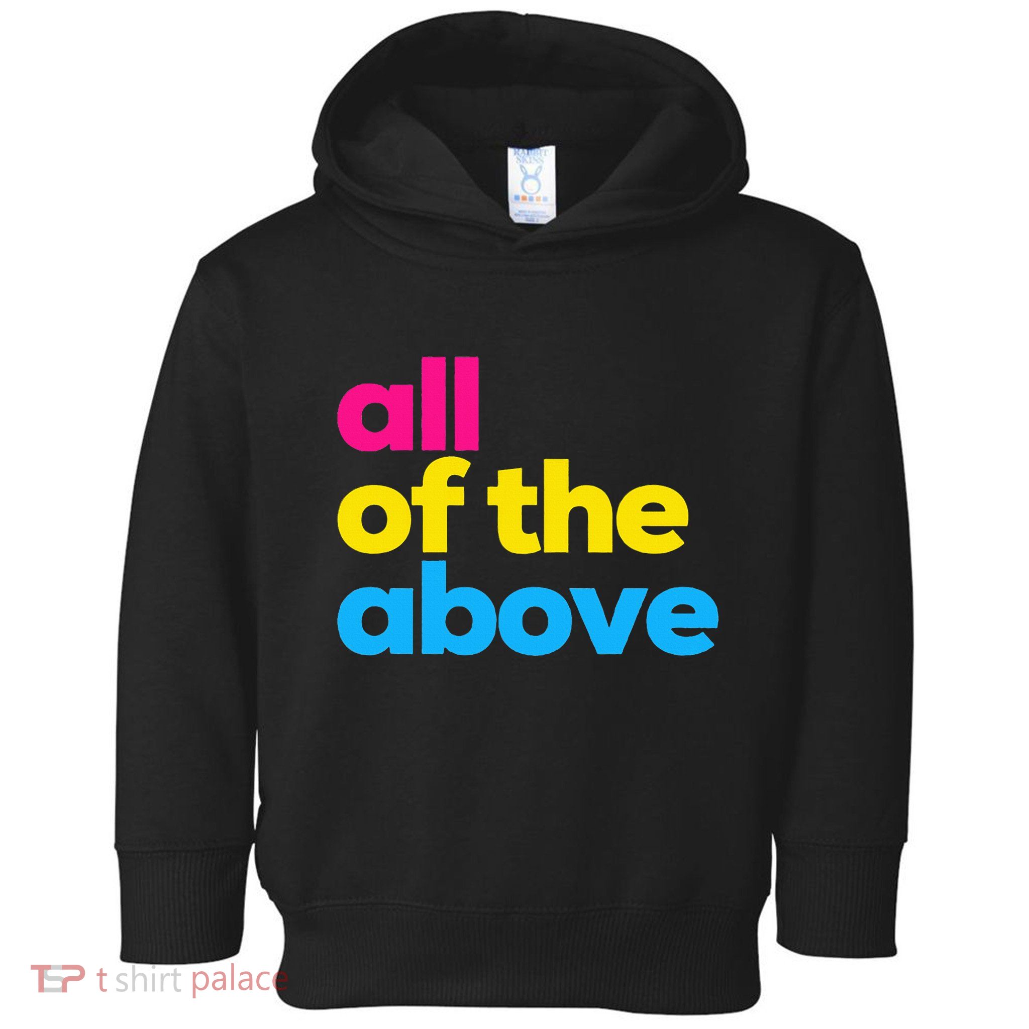 Pansexual Subtle Pan All Of The Above Lgbtq Pride Month Toddler Hoodie