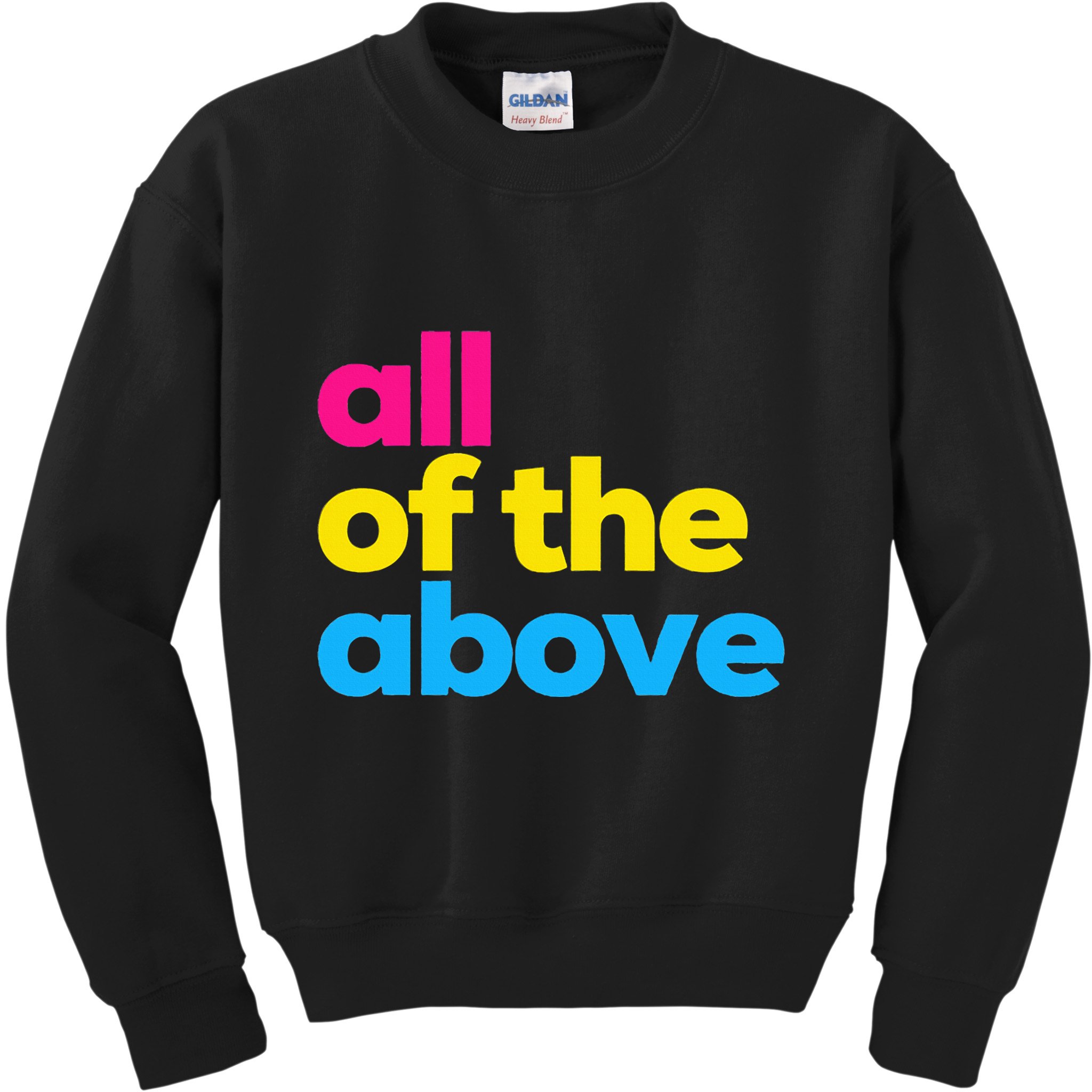 Pansexual Subtle Pan All Of The Above Lgbtq Pride Month Kids Sweatshirt