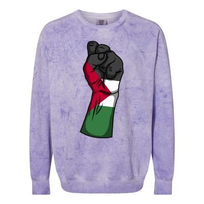 Palestine Strong Protest Fist Palestinian Free Palestine Cool Gift Colorblast Crewneck Sweatshirt