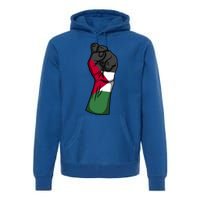 Palestine Strong Protest Fist Palestinian Free Palestine Cool Gift Premium Hoodie