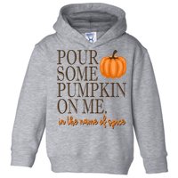 Pour Some Pumpkin On Me In The Name Of Spice Funny Fall Toddler Hoodie