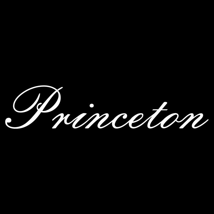 Princeton Script Toddler Hoodie