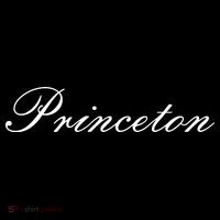 Princeton Script Visor