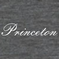 Princeton Script 7 Panel Mesh Trucker Snapback Hat