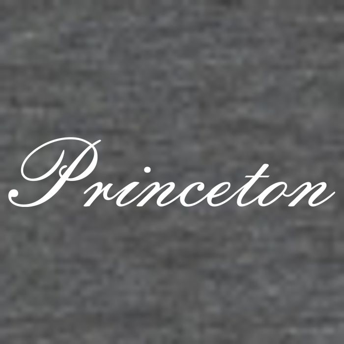 Princeton Script 7 Panel Mesh Trucker Snapback Hat