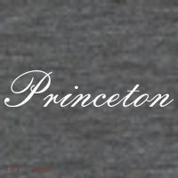 Princeton Script Tall T-Shirt