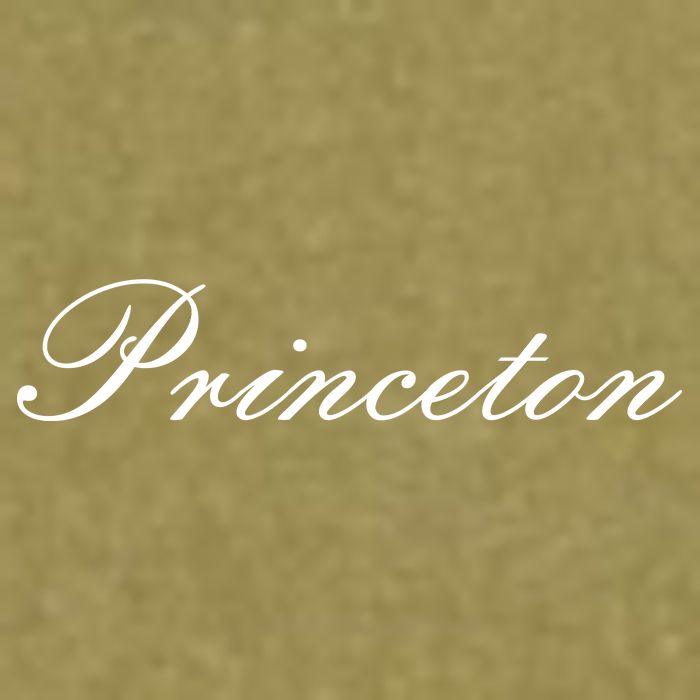 Princeton Script Garment-Dyed Women's Muscle Tee