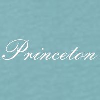 Princeton Script Sueded Cloud Jersey T-Shirt