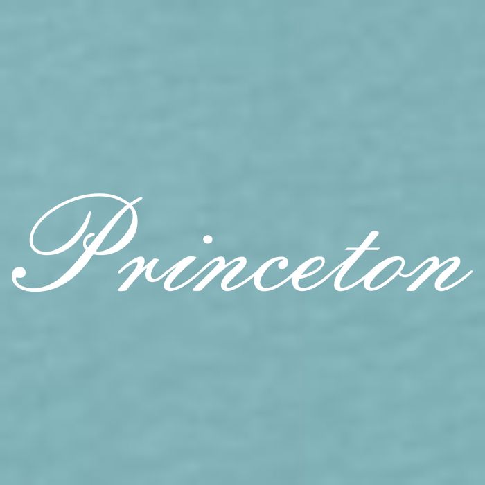 Princeton Script Sueded Cloud Jersey T-Shirt