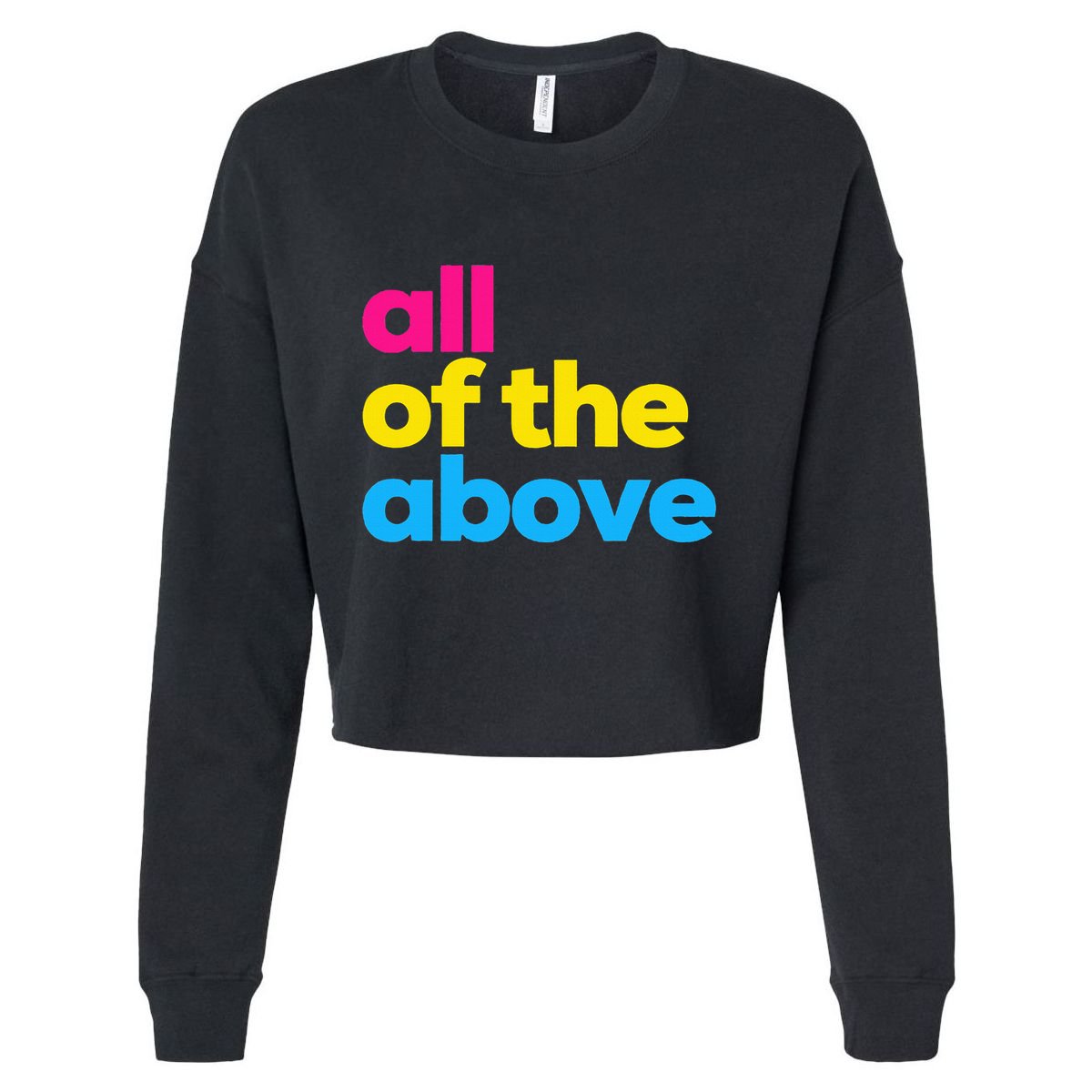 Pansexual Subtle Pan All Of The Above Lgbtq Cropped Pullover Crew