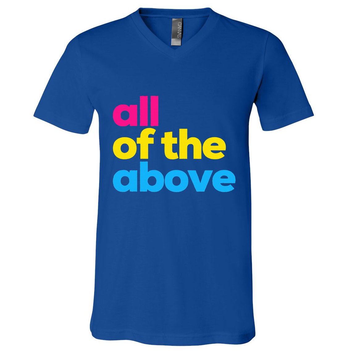 Pansexual Subtle Pan All Of The Above Lgbtq V-Neck T-Shirt