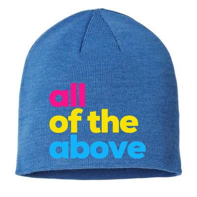 Pansexual Subtle Pan All Of The Above Lgbtq Sustainable Beanie