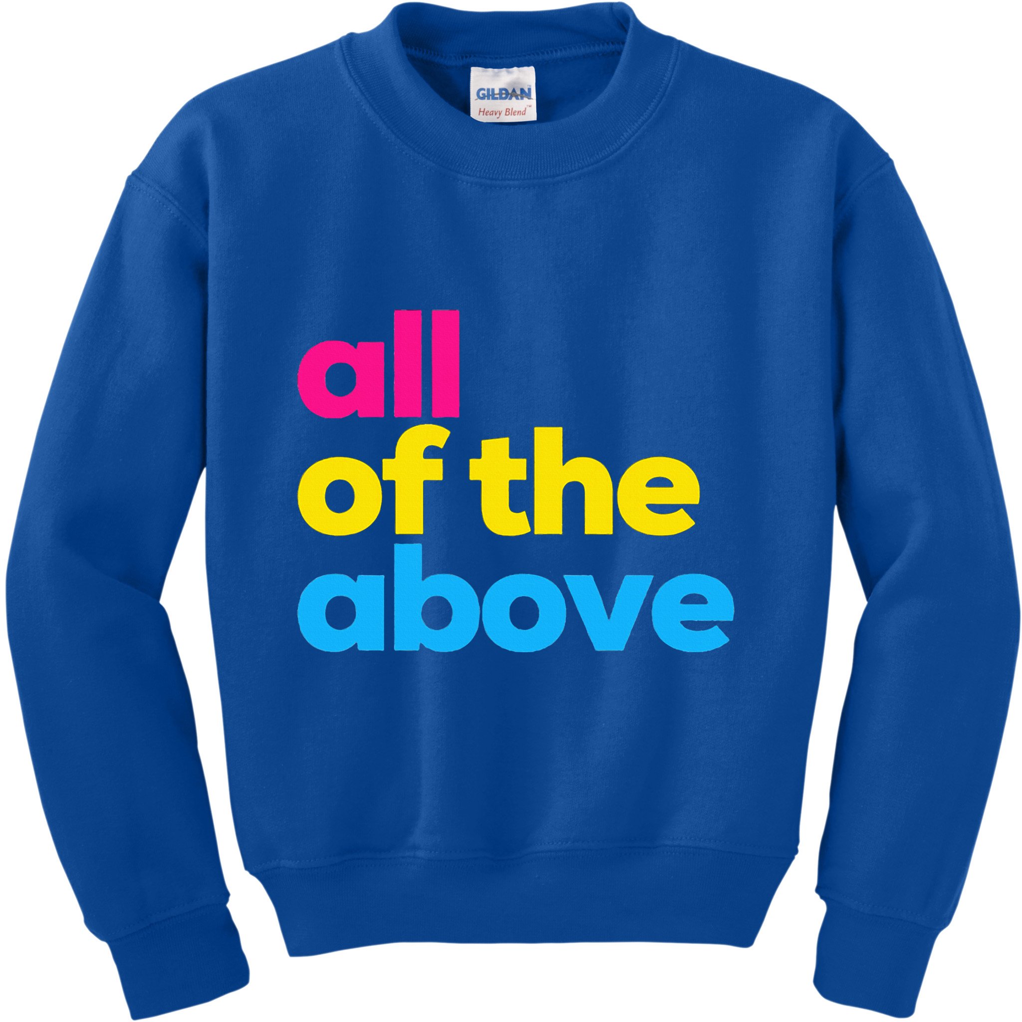 Pansexual Subtle Pan All Of The Above Lgbtq Kids Sweatshirt