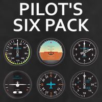 Pilot's Six Pack Funny Aviation 11oz C Handle Ceramic Mug
