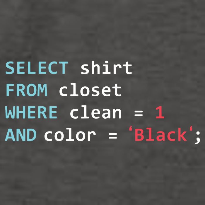 Programmer SQL Query Geek Database Coding Vector Backpack