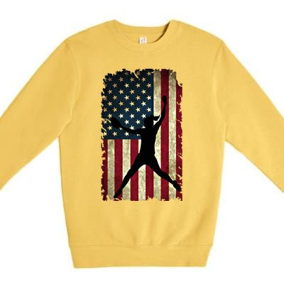 Pitcher Softball Stuff Usa Flag Cute Gift Softballism Gift Premium Crewneck Sweatshirt