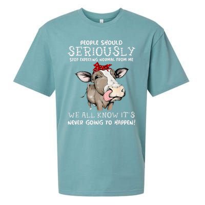 People Should Seriously Stop Expecting Normal From Me Sueded Cloud Jersey T-Shirt