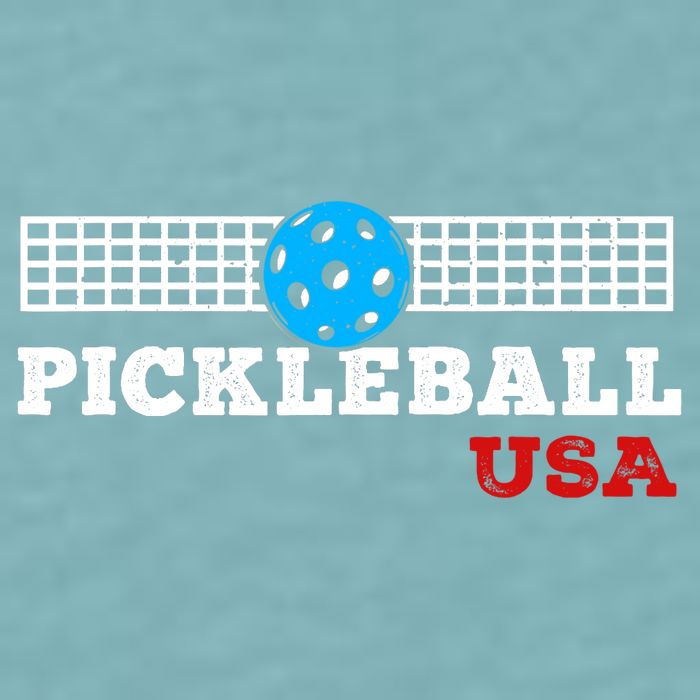 Pickleball Support The Team Pickleball Player USA Flag Sueded Cloud Jersey T-Shirt