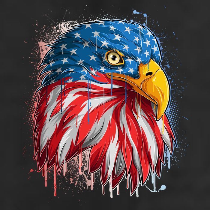 Paint Splatter USA American Flag Eagle Head Cool Comfort Performance Bucket Hat