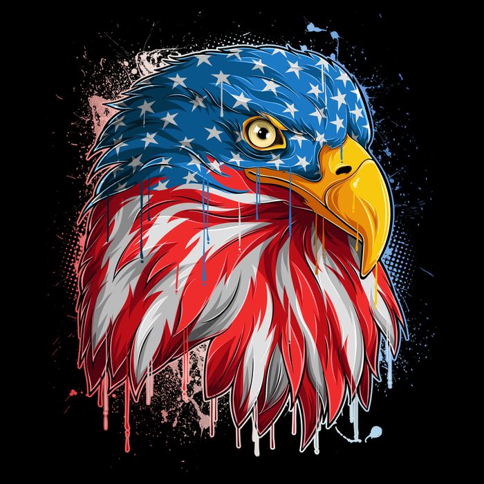 Paint Splatter USA American Flag Eagle Head Cooling Performance Crew T-Shirt