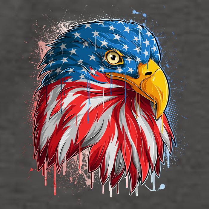 Paint Splatter USA American Flag Eagle Head Vector Backpack