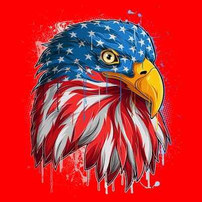 Paint Splatter USA American Flag Eagle Head T-Shirt