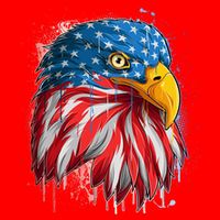 Paint Splatter USA American Flag Eagle Head Poster