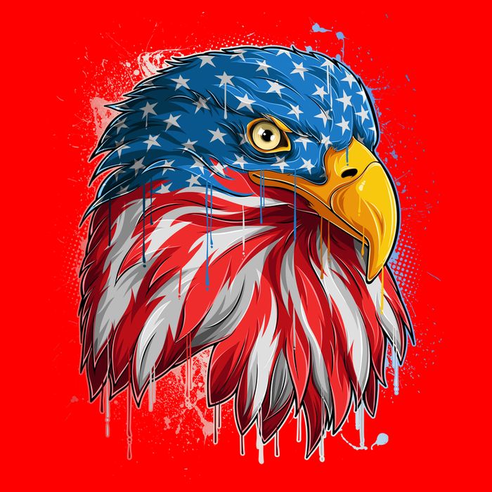 Paint Splatter USA American Flag Eagle Head Poster