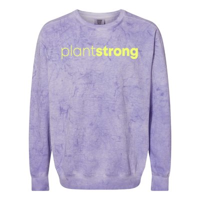 Plant Strong Veganism Organic Based Diet Vegan Gift Meaningful Gift Colorblast Crewneck Sweatshirt