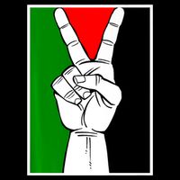 Palestine Support Victory Symbol Free Palestine Palestinian Sweatshirt