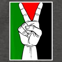 Palestine Support Victory Symbol Free Palestine Palestinian Vector Backpack
