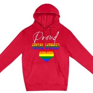 Proud Social Worker Pride LGBT Flag Matching Gay Lesbian Premium Pullover Hoodie