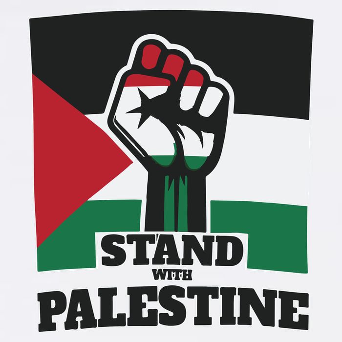 Palestine Stand With Palestine Pray For Palestine Wool Snapback Cap