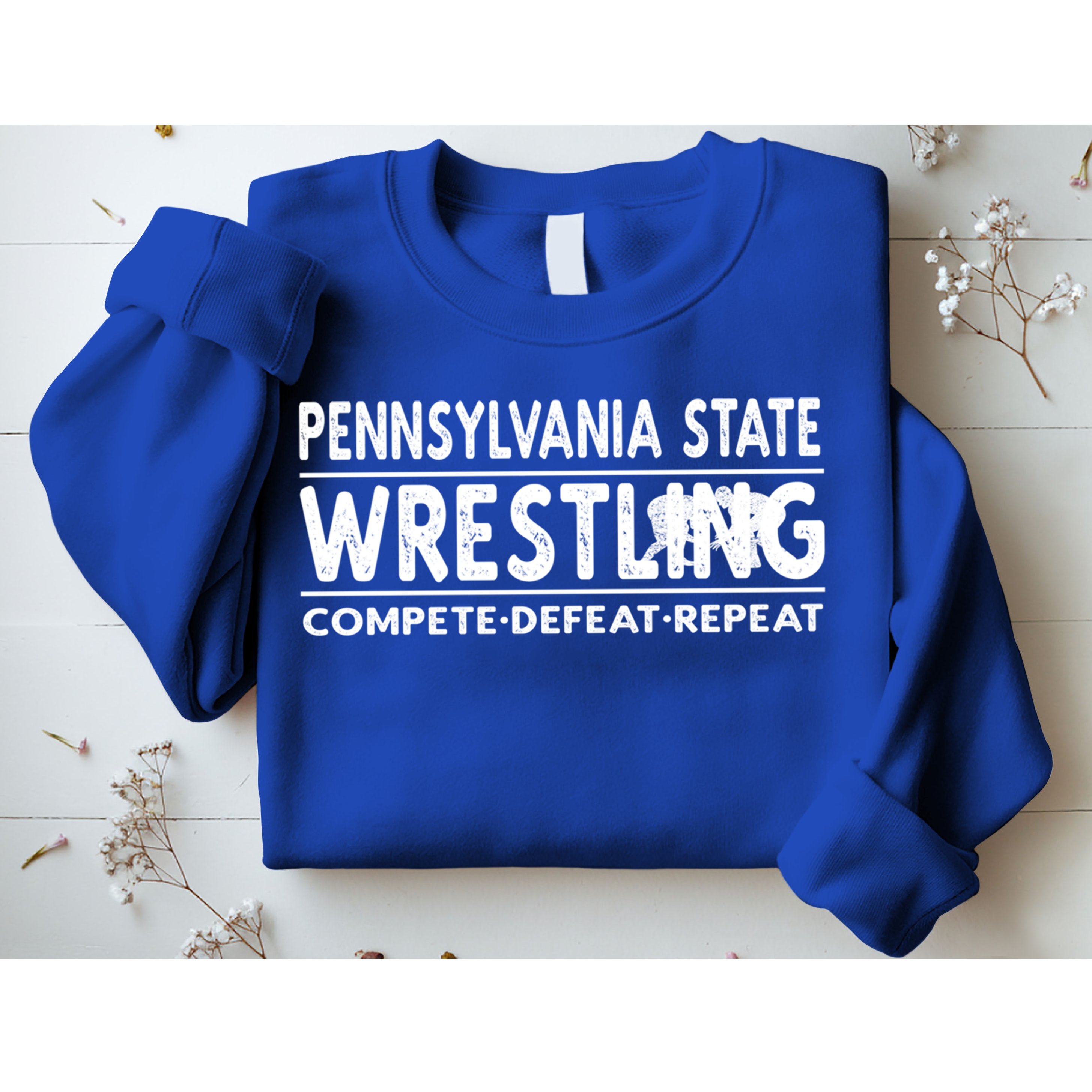 Pennsylvania State Wrestling Compete Defeat Repeat Gift Sweatshirt