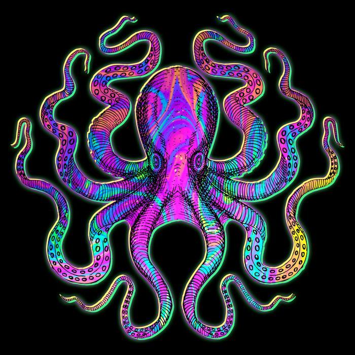 Psychedelic Octopus Cropped Pullover Crew