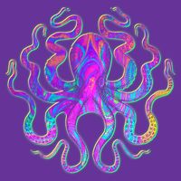 Psychedelic Octopus T-Shirt