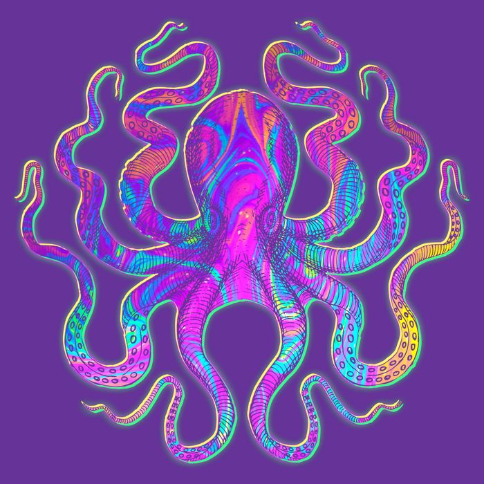 Psychedelic Octopus Button