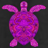 Psychedelic Turtle Garment-Dyed Fleece Hoodie