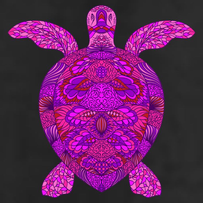 Psychedelic Turtle Garment-Dyed Fleece Hoodie