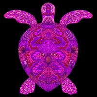 Psychedelic Turtle Sweatshirt