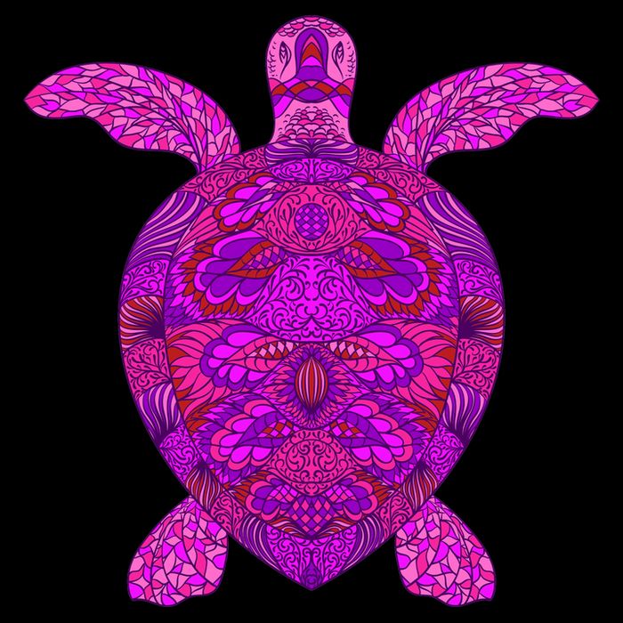 Psychedelic Turtle Sweatshirt