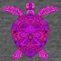 Psychedelic Turtle Women's V-Neck T-Shirt