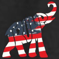 President Trump 2024 Republican Elephant Trump Supporter Beanie