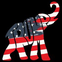 President Trump 2024 Republican Elephant Trump Supporter Flat Bill Trucker Hat
