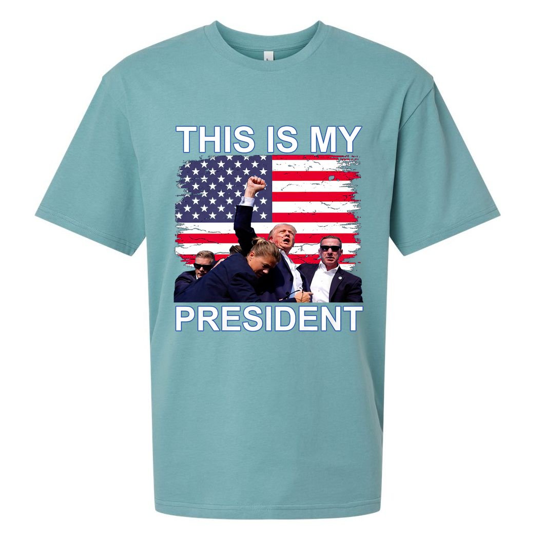 President Trump 2024 This Is My President Sueded Cloud Jersey T-Shirt