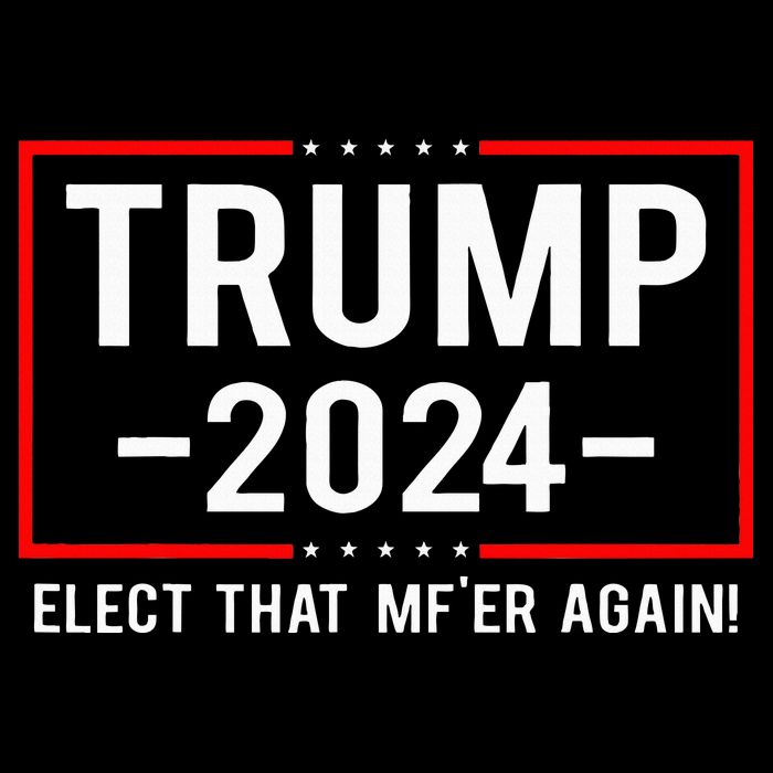 Political Trump 2024 Elect That MfEr Again Drawstring Bag