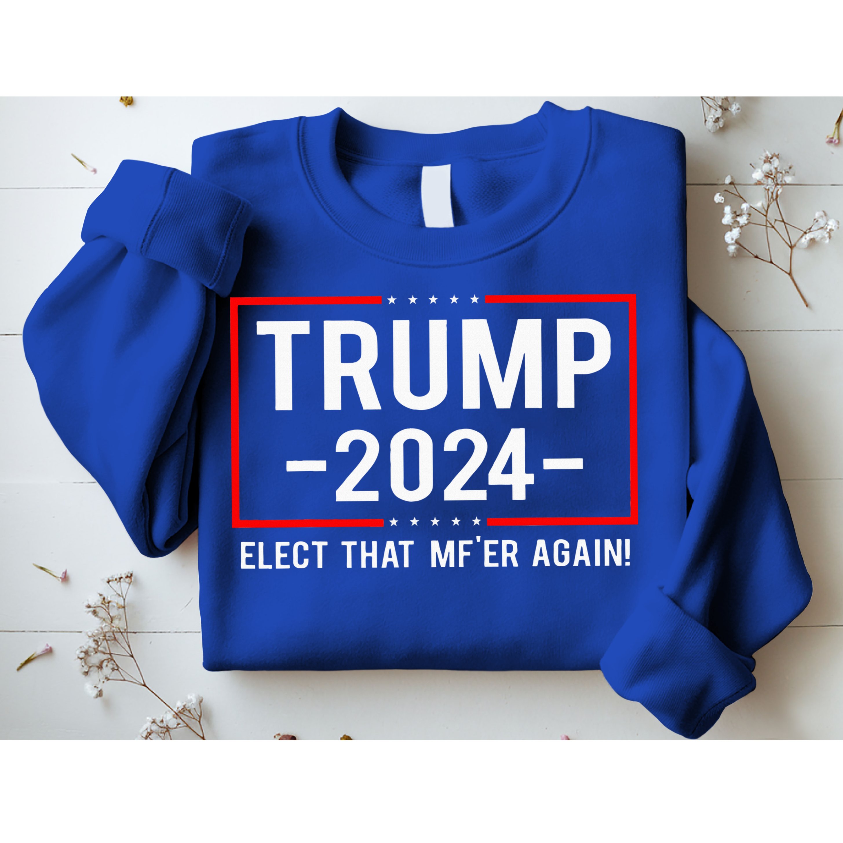 Political Trump 2024 Elect That MfEr Again Sweatshirt