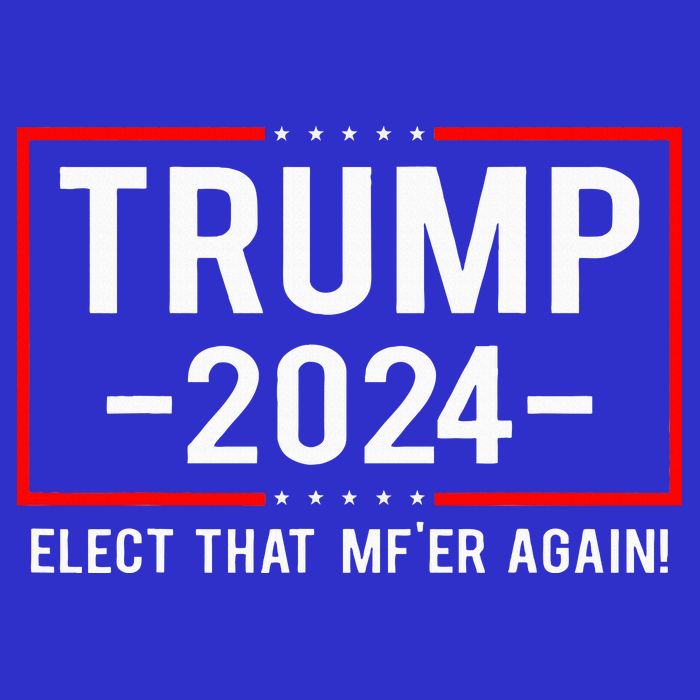 Political Trump 2024 Elect That MfEr Again Sweatshirt