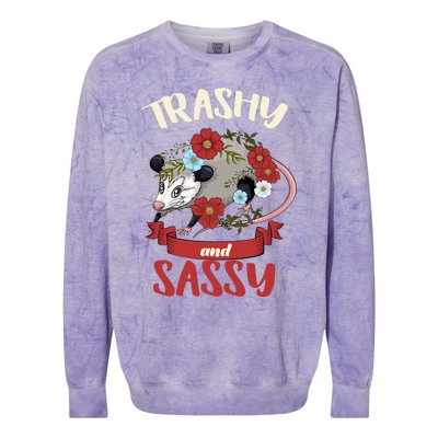 Possum Trashy And Sassy Live Ugly Opossum Team Trash Colorblast Crewneck Sweatshirt